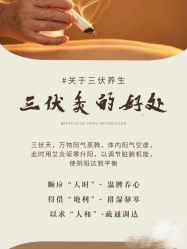 -YESIDO椰岛美容