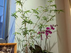 -十二舍·湯物素煮(江泰潤政店)