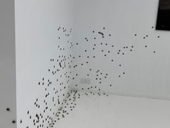 -胶囊画廊