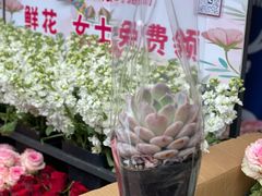 -满记甜品(优客百盛店)