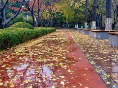 -大连植物园