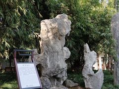 -上海醉白池公园