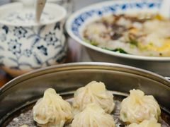 -老温州馄饨担(东游大厦店)