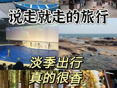 -渡海小渔村.老辈日照菜