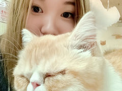 -猫和宫(六道口店)