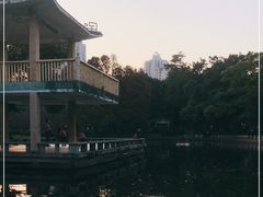 -晓港公园