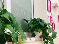 -清真马记宫廷奶酪(农光里店)