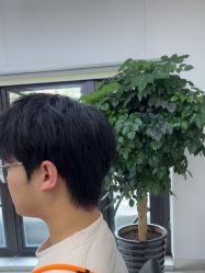 -魔型社烫染店