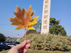 -南京枫彩漫城