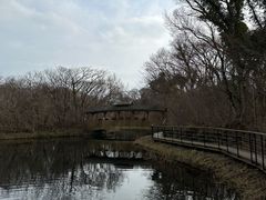 -济州森林小火车生态公园
