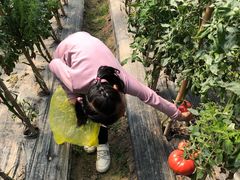 -小鱼草莓采摘园农家乐·小鱼餐厅