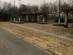 -永定河休闲森林公园