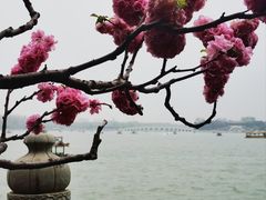 -颐和园