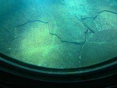 -白鹤梁水下博物馆