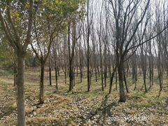 -淇河国家湿地公园