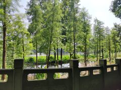 -重庆彩云湖湿地公园