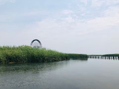 -太湖湖滨国家湿地公园-停车场