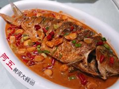 -阿五黄河大鲤鱼(英协路店)