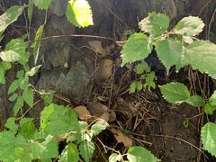 -汉中石门栈道景区