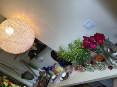 吃货椰子冻-志龙皇冠吃货椰子铺