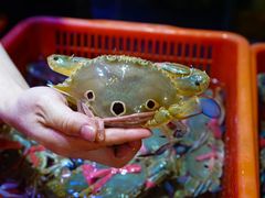 -巽寮印象美食部落餐厅·海鲜·地方特色菜(惠州体验店)