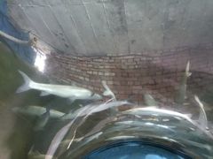 -东方巨龟苑景区