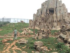 -石家庄市动物园