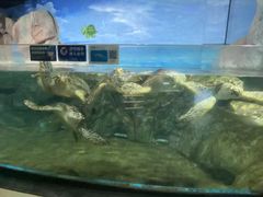 -福州罗源湾海洋世界旅游区