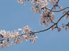 -长田漾湿地公园