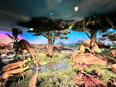 -国家自然博物馆