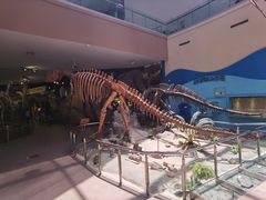 -陕西自然博物馆