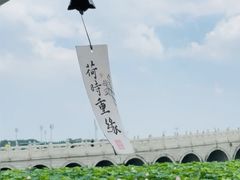 -阳澄湖半岛旅游度假区