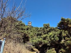 -北京十三陵国家森林公园蟒山景区