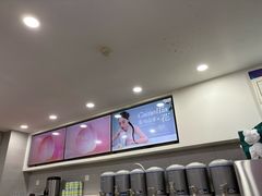 -雾与山茶(大禹城店)