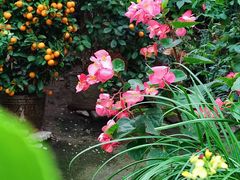 -行人小筑·茶馆(岑村火炉山分店)