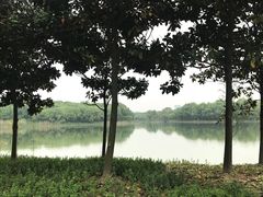 -昆山城市生态森林公园