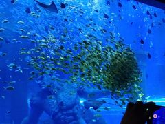 -波塞冬旅游度假区