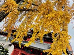 -上海东林寺(金山区)