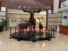 -北京麋鹿生态实验中心