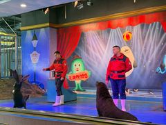 -芜湖新华联大白鲸海洋公园