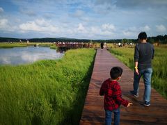 -塞罕坝国家级自然保护区