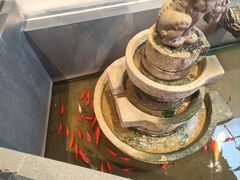 -单家老院·院子里的青岛菜(沙子口店)