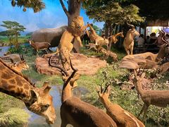 -国家自然博物馆