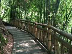 -沐川竹海旅游景区