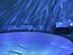 -陕西自然博物馆