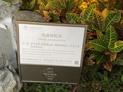 -广东温泉宾馆