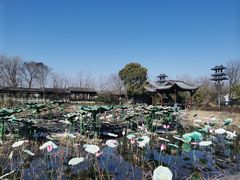 -西溪国家湿地公园