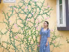 -黄色小屋