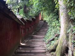 -青城山