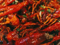 招牌麻辣小龙虾-霸王虾·麻辣小龙虾(清水河公园店)